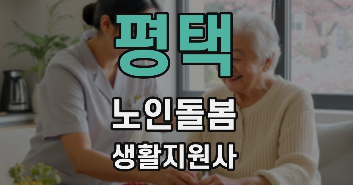 평택 노인돌봄생활지원사 자격증