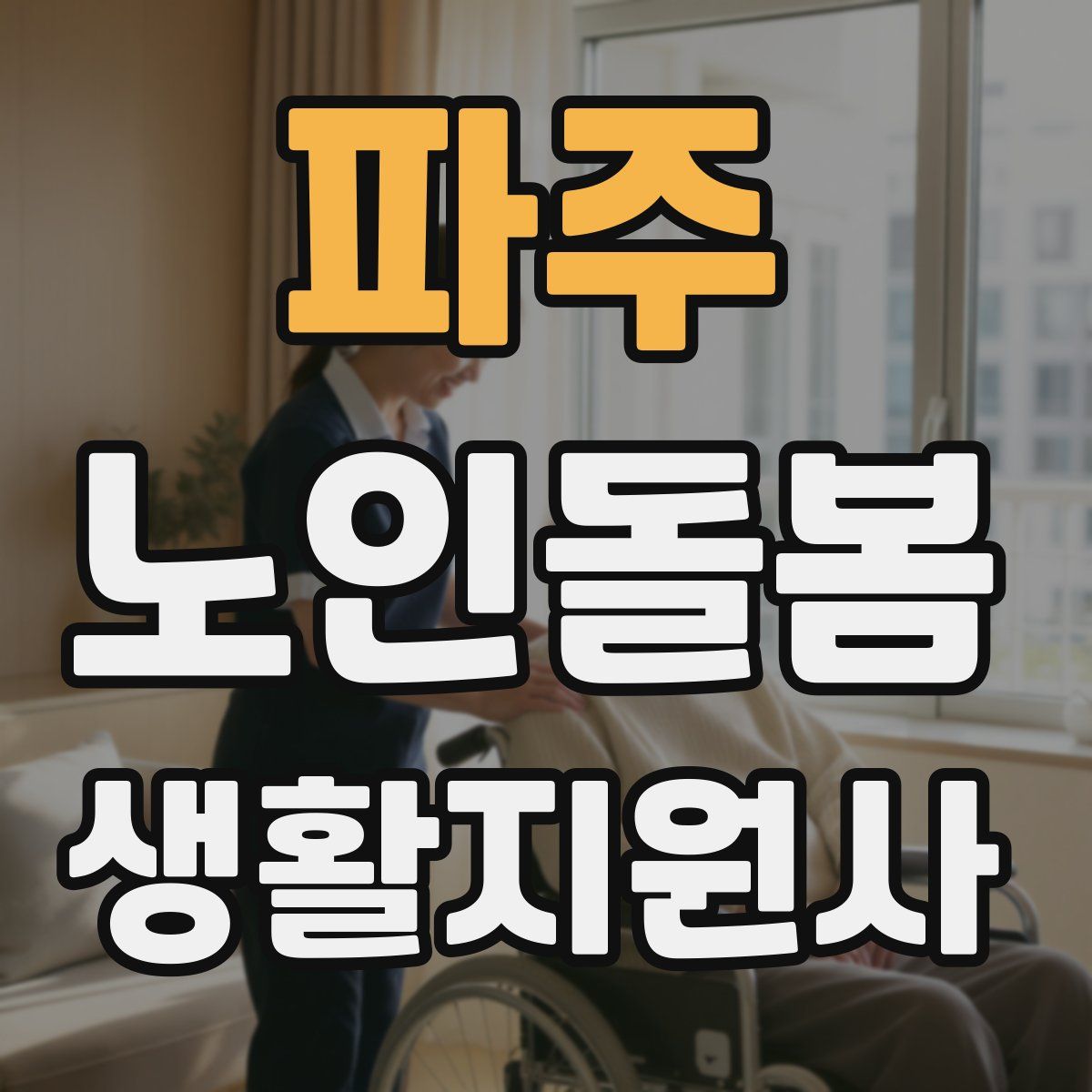 파주 노인돌봄생활지원사 자격증