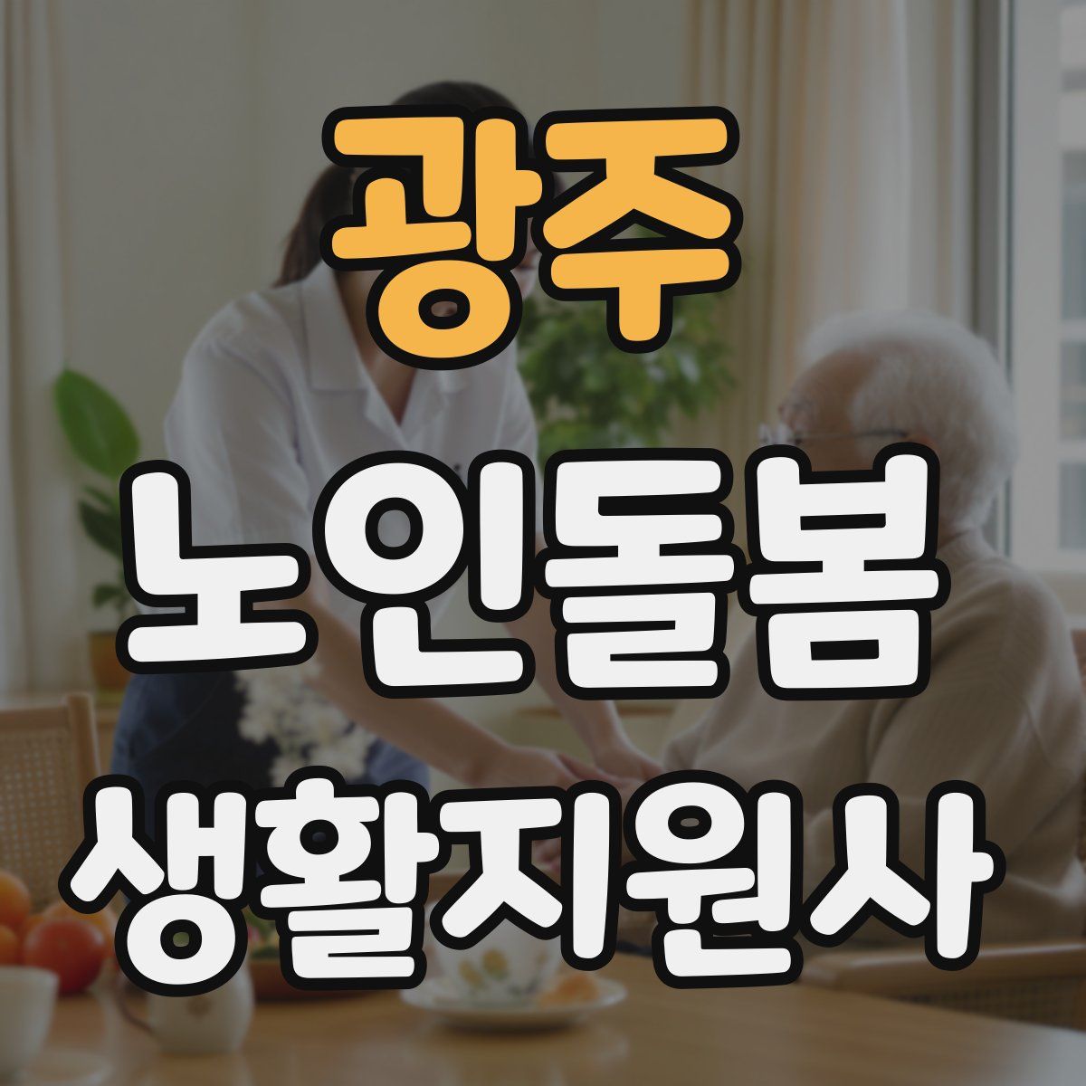 광주 노인돌봄생활지원사 자격증