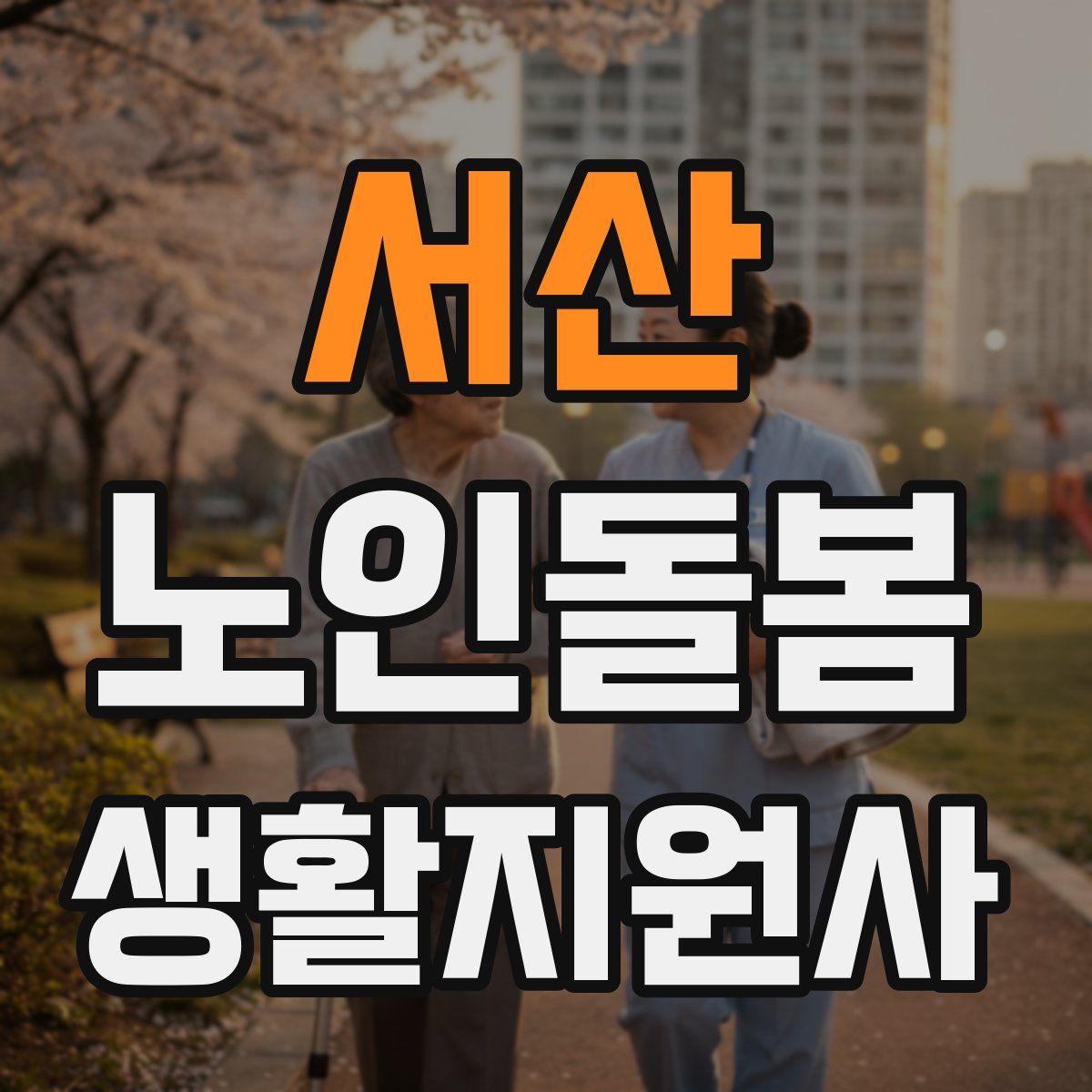 서산 노인돌봄생활지원사 자격증