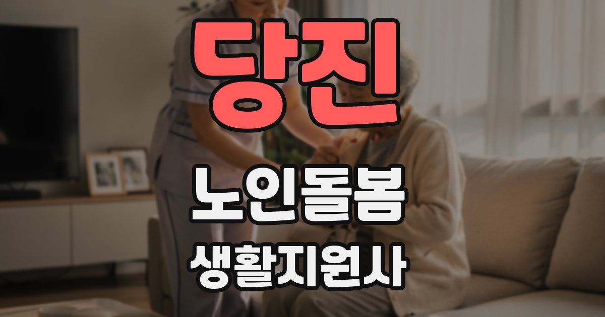 당진 노인돌봄생활지원사 자격증