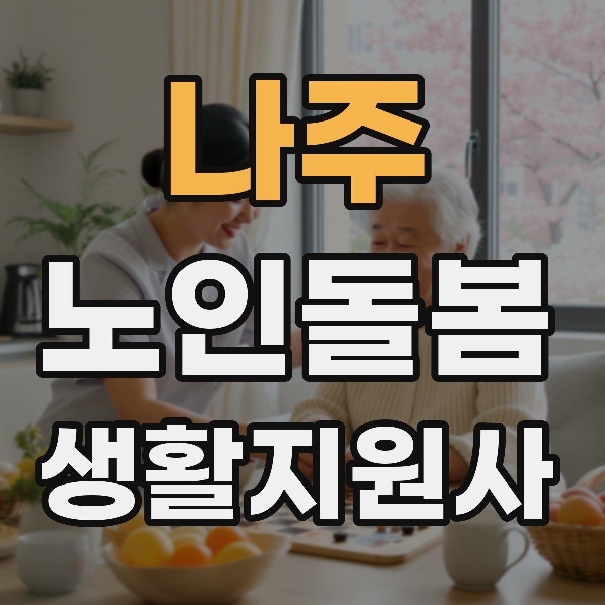 나주 노인돌봄생활지원사 자격증