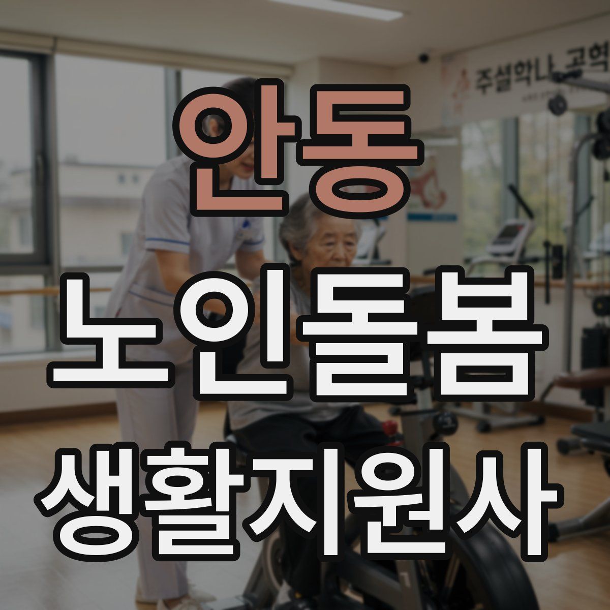 안동 노인돌봄생활지원사 자격증