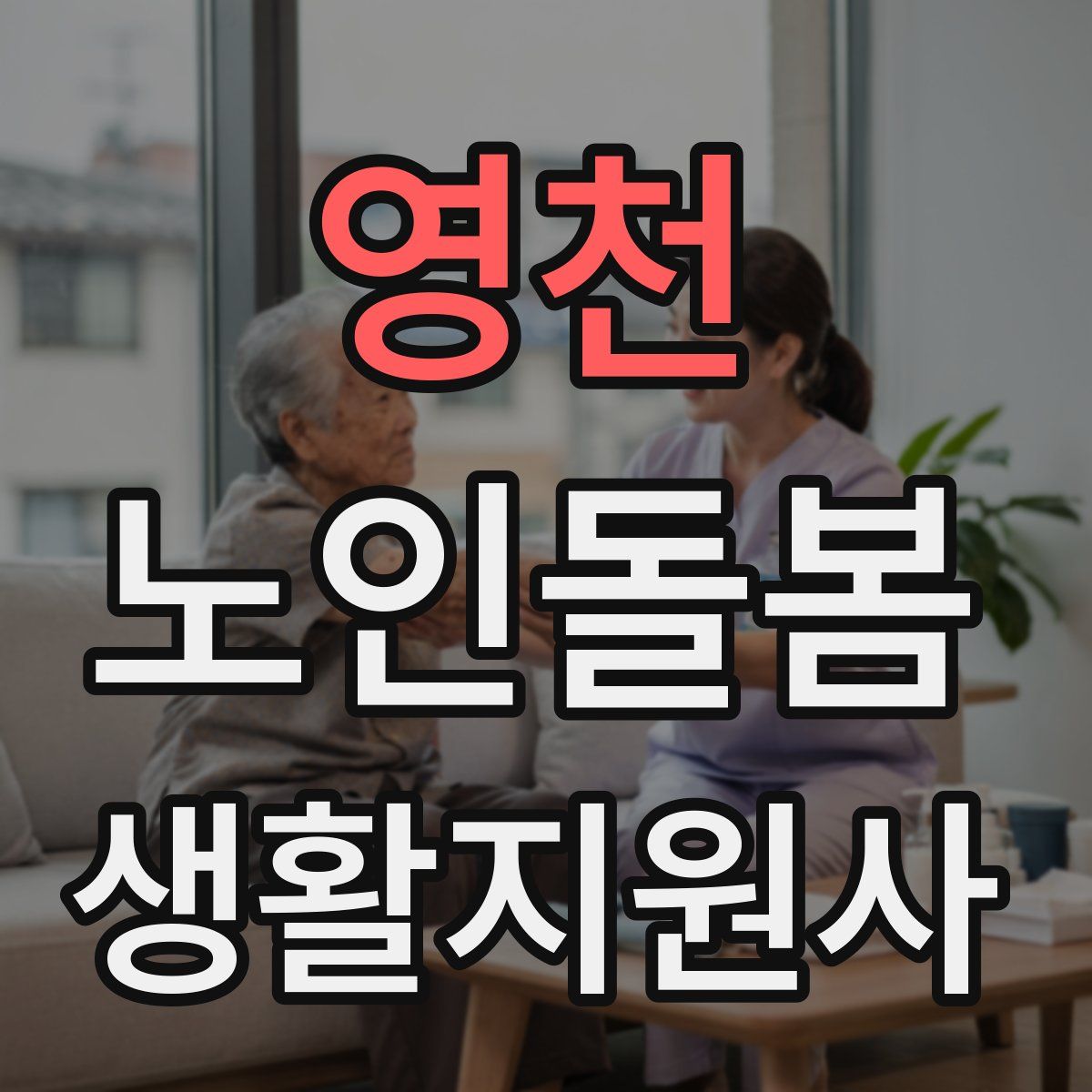 영천 노인돌봄생활지원사 자격증