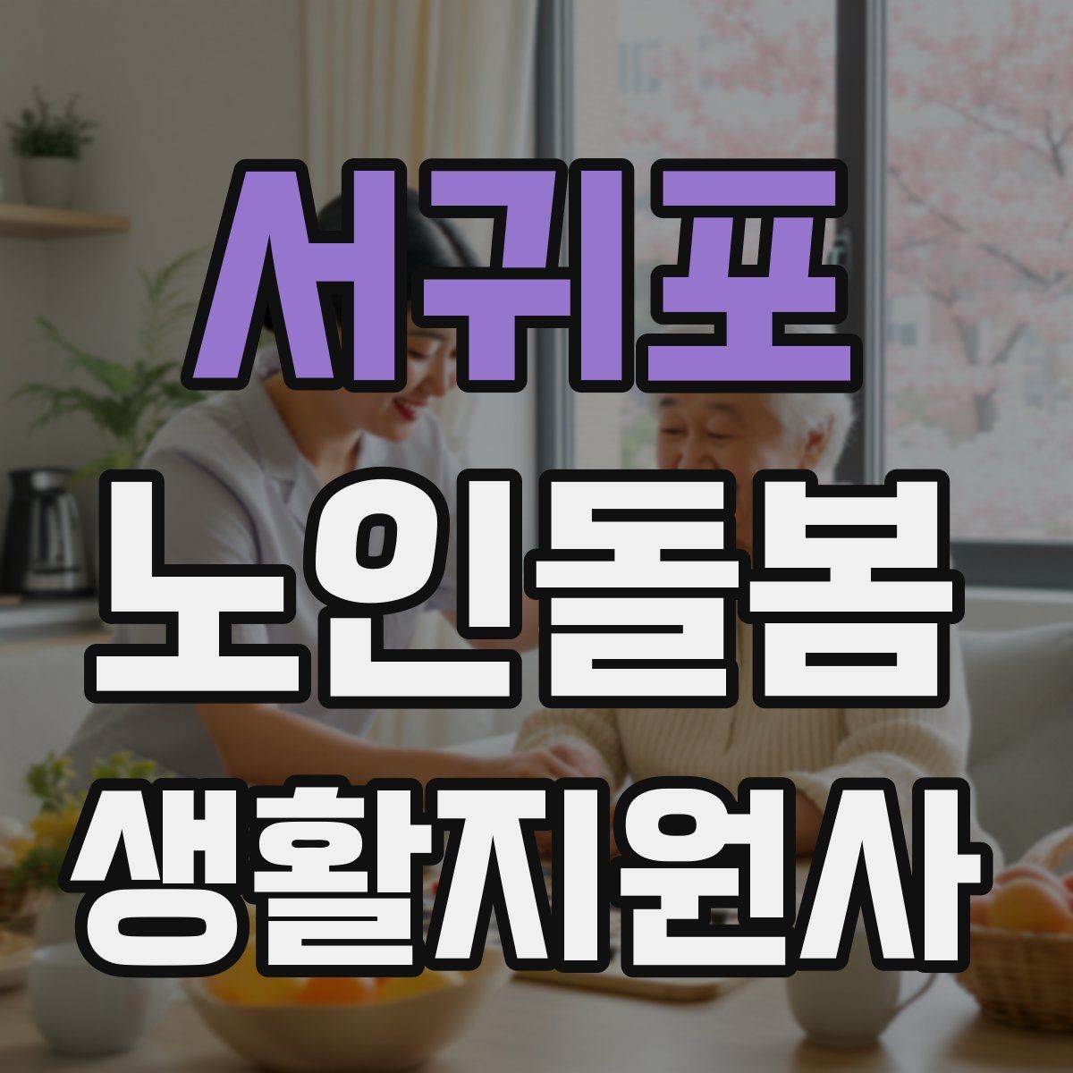 서귀포 노인돌봄생활지원사 자격증 준비부터 현장까지 한 번에 정리