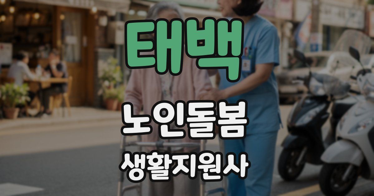 태백 노인돌봄생활지원사 자격증