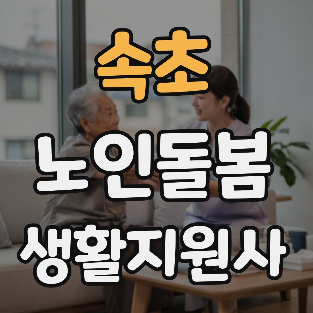 속초 노인돌봄생활지원사 자격증
