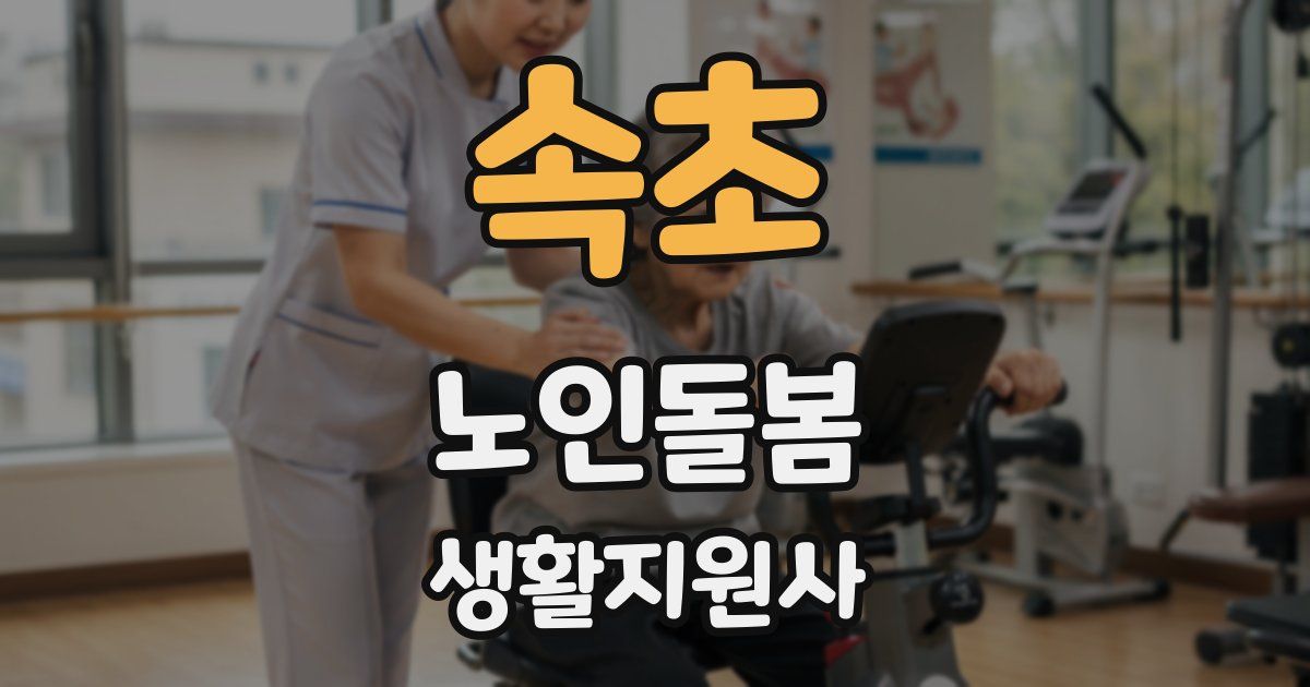속초 노인돌봄생활지원사 자격증