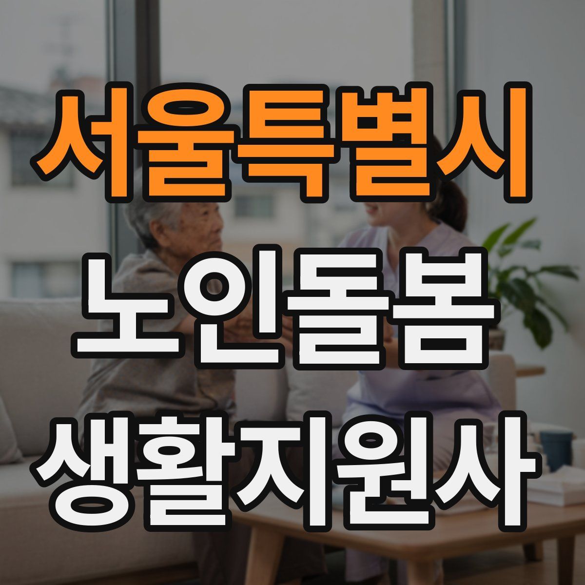 서울특별시 노인돌봄생활지원사 자격증