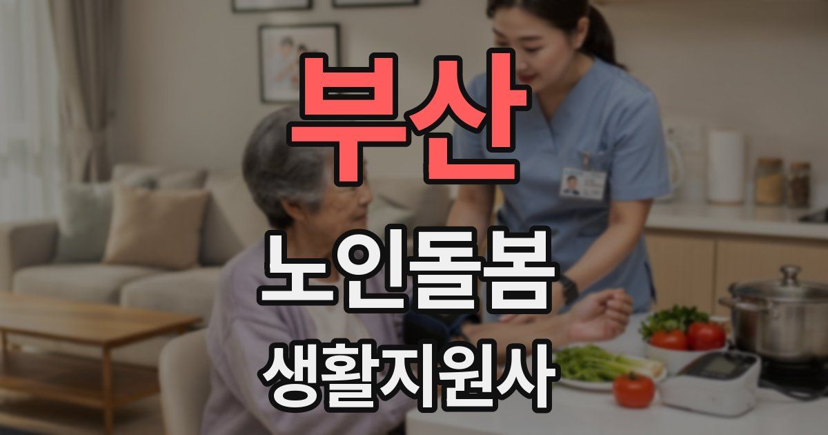 부산 노인돌봄생활지원사 자격증