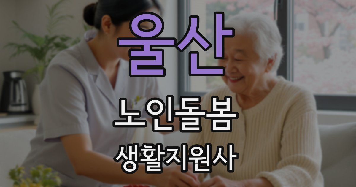 울산 노인돌봄생활지원사 자격증
