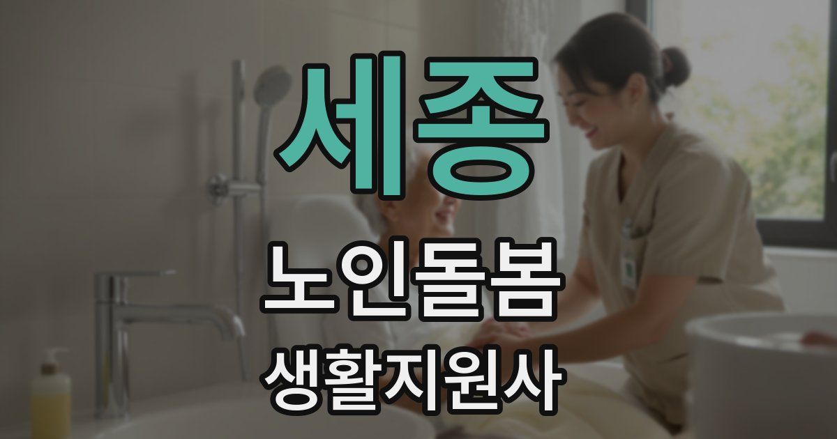 세종 노인돌봄생활지원사 자격증