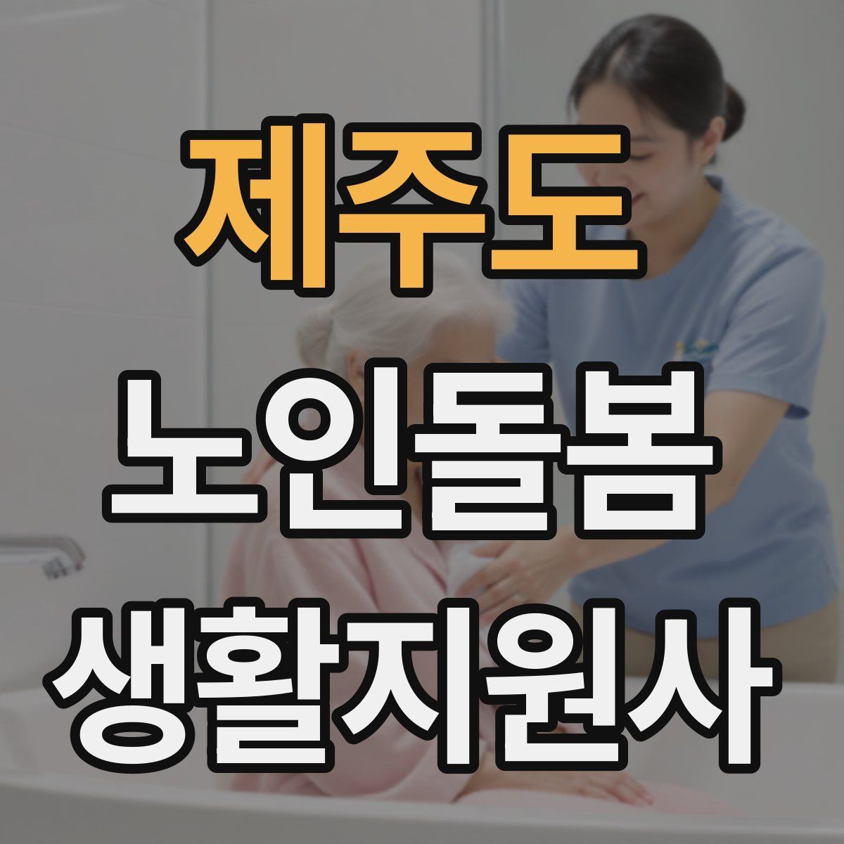 제주도 노인돌봄생활지원사 자격증