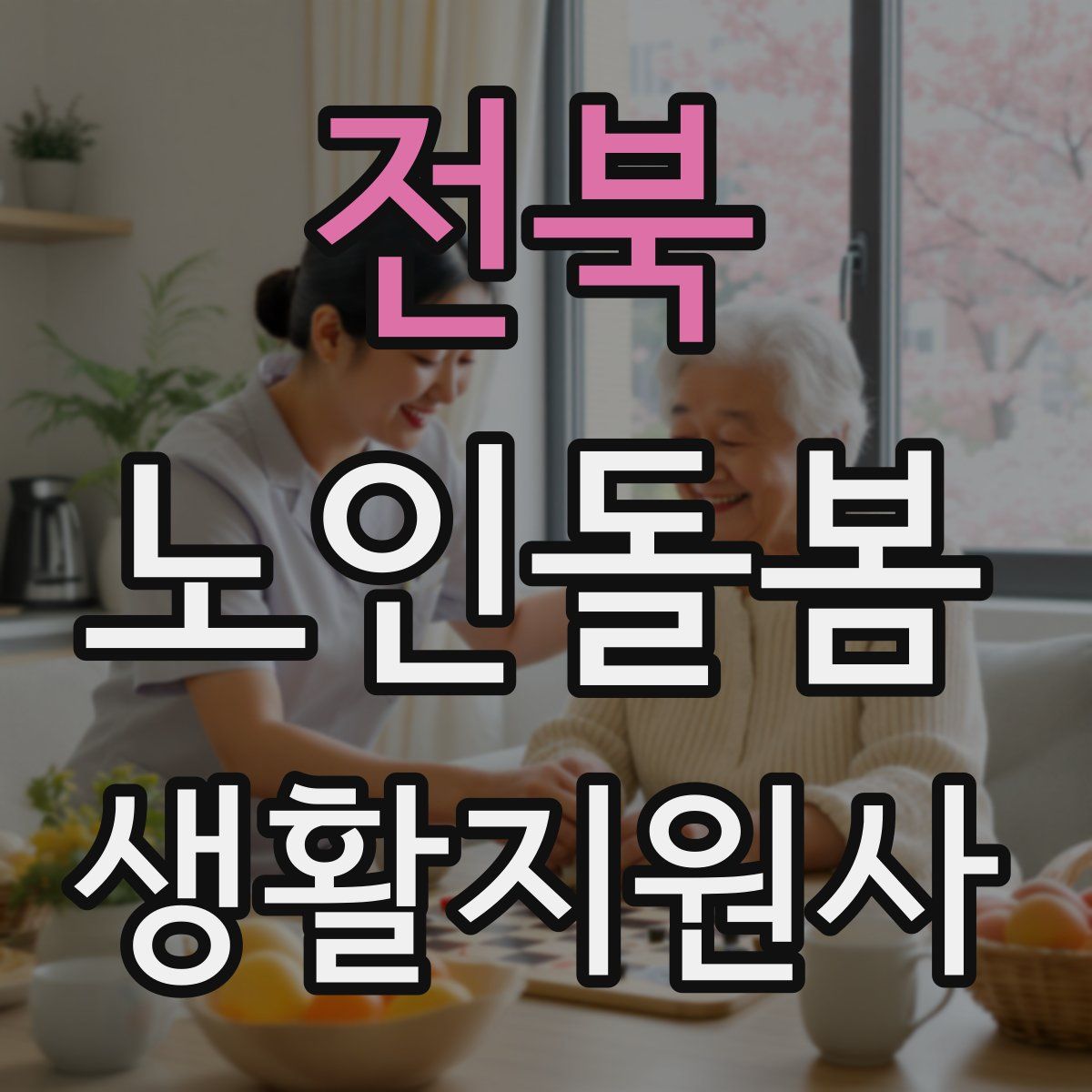 전북 노인돌봄생활지원사 자격증
