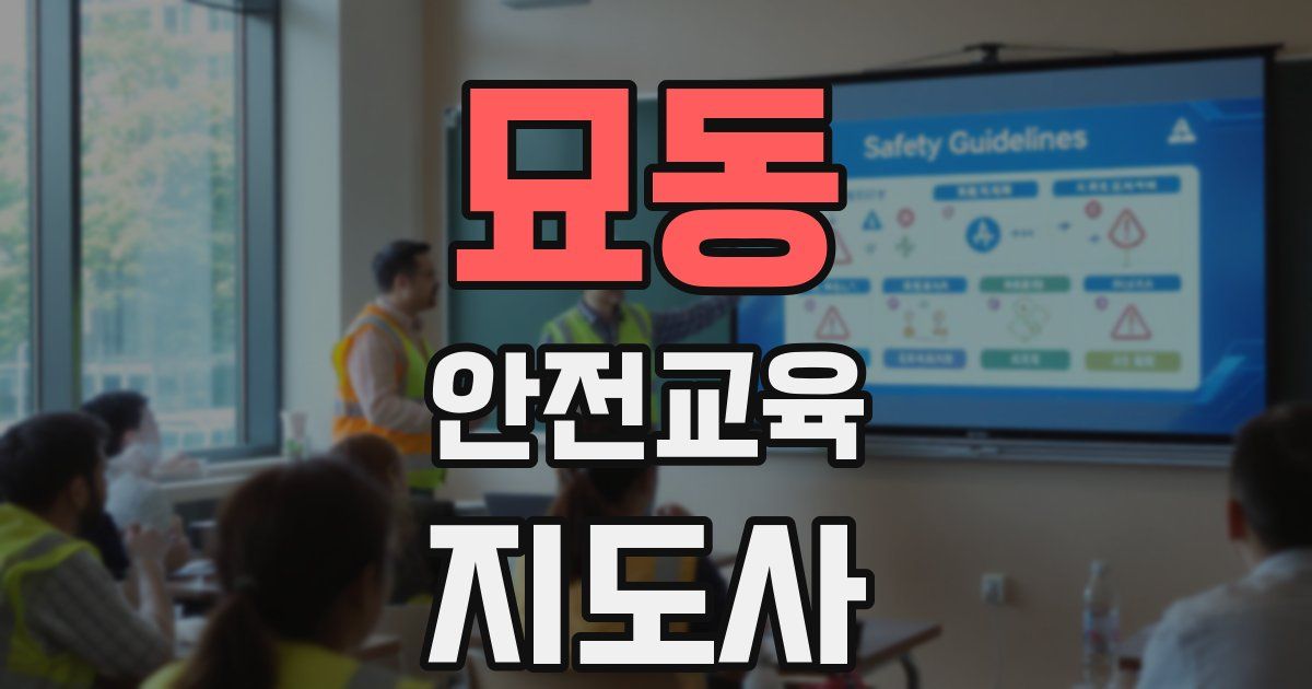 묘동 안전교육지도사 자격증