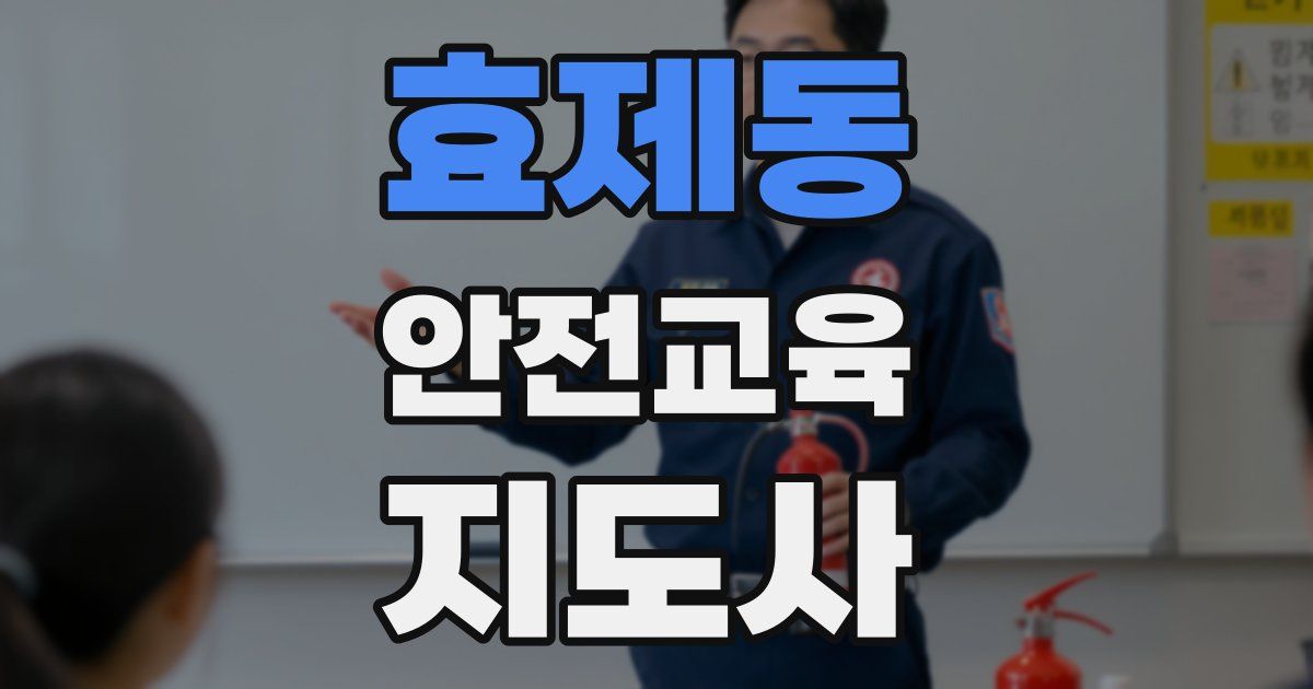 효제동 안전교육지도사 자격증