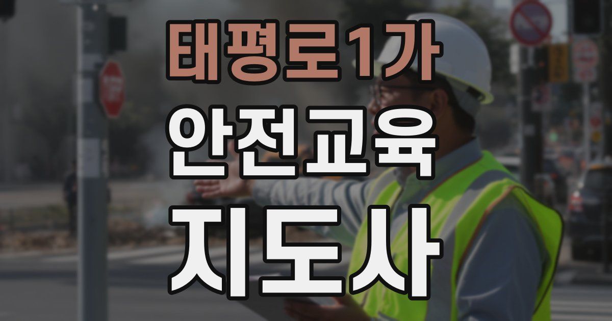 태평로1가 안전교육지도사 자격증