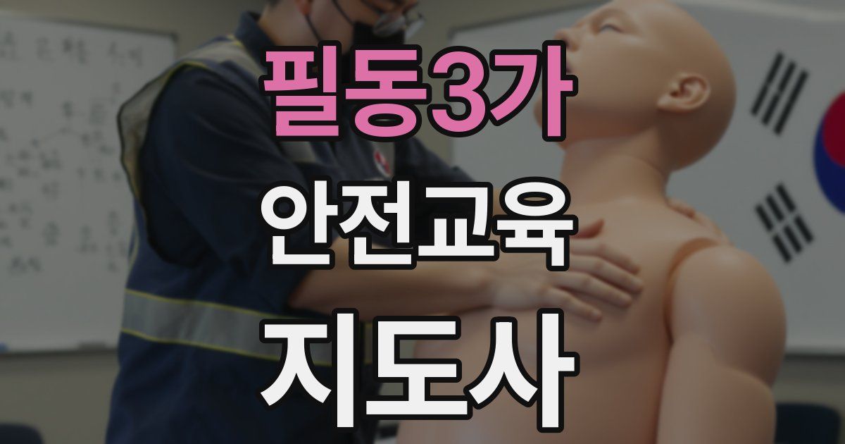 필동3가 안전교육지도사 자격증