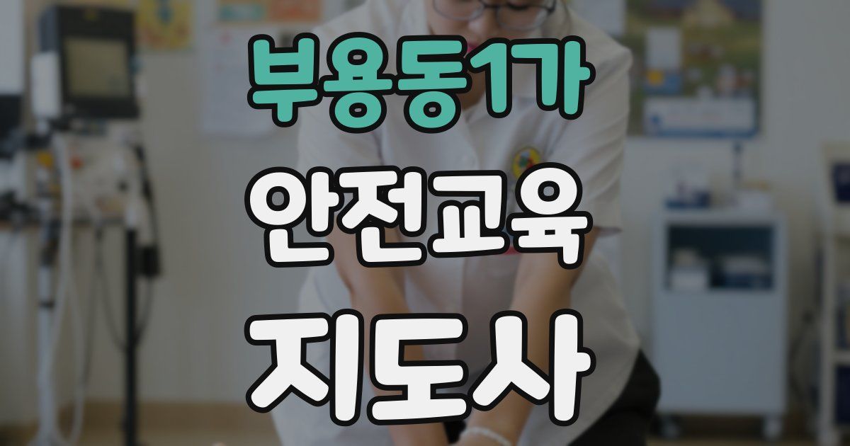 부용동1가 안전교육지도사 자격증