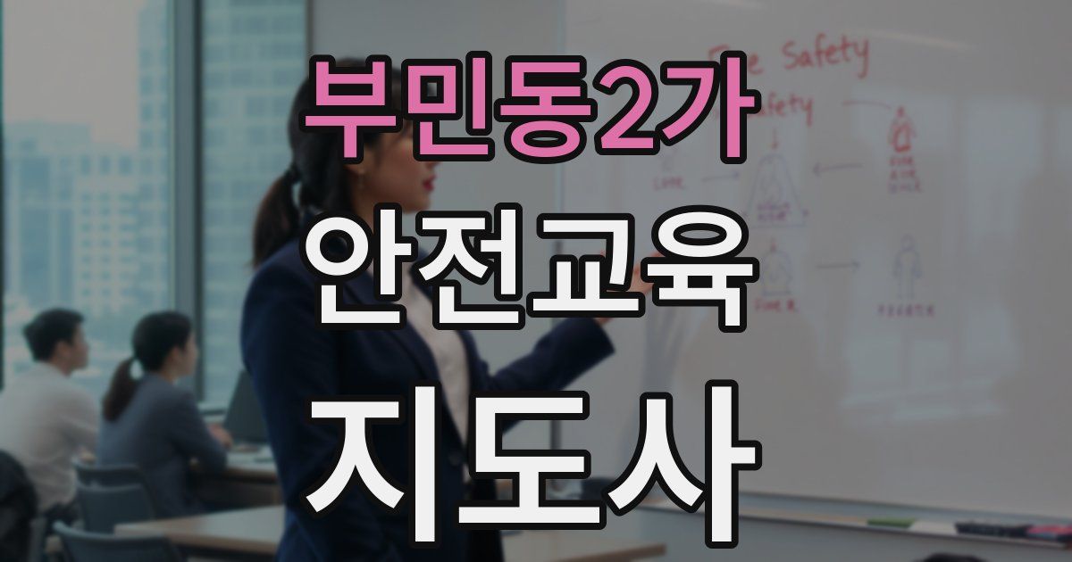 부민동2가 안전교육지도사 자격증
