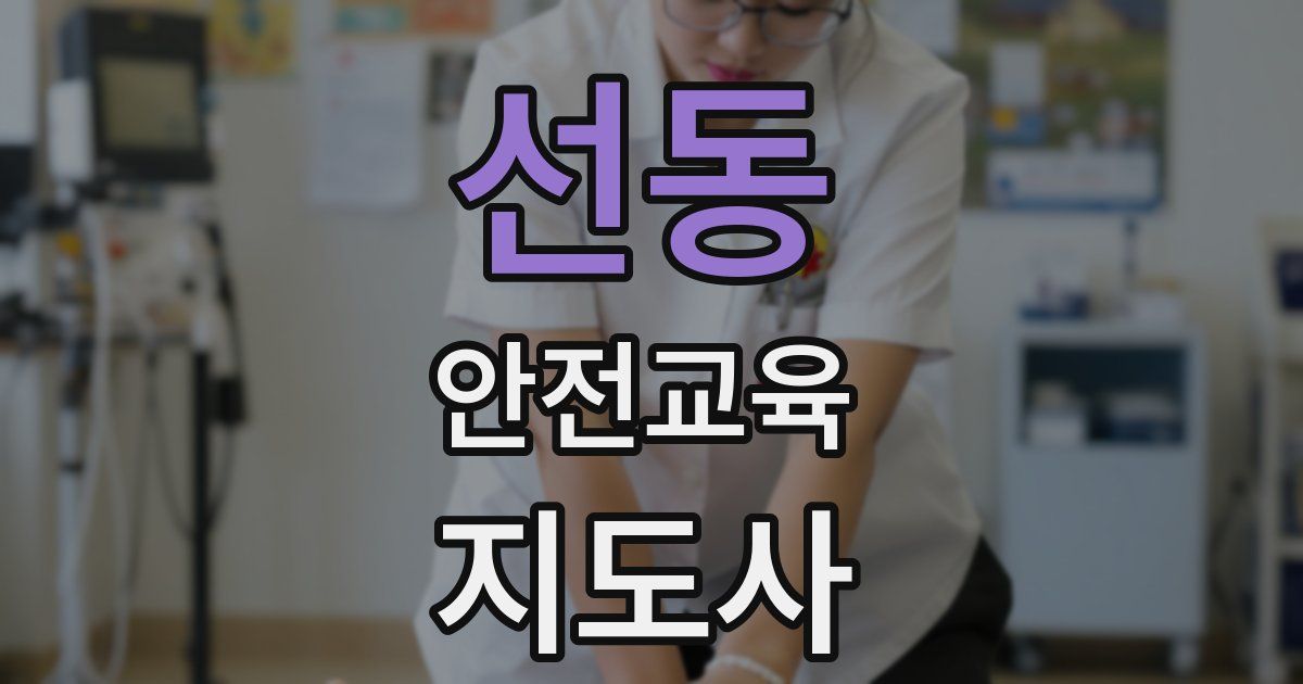 선동 안전교육지도사 자격증