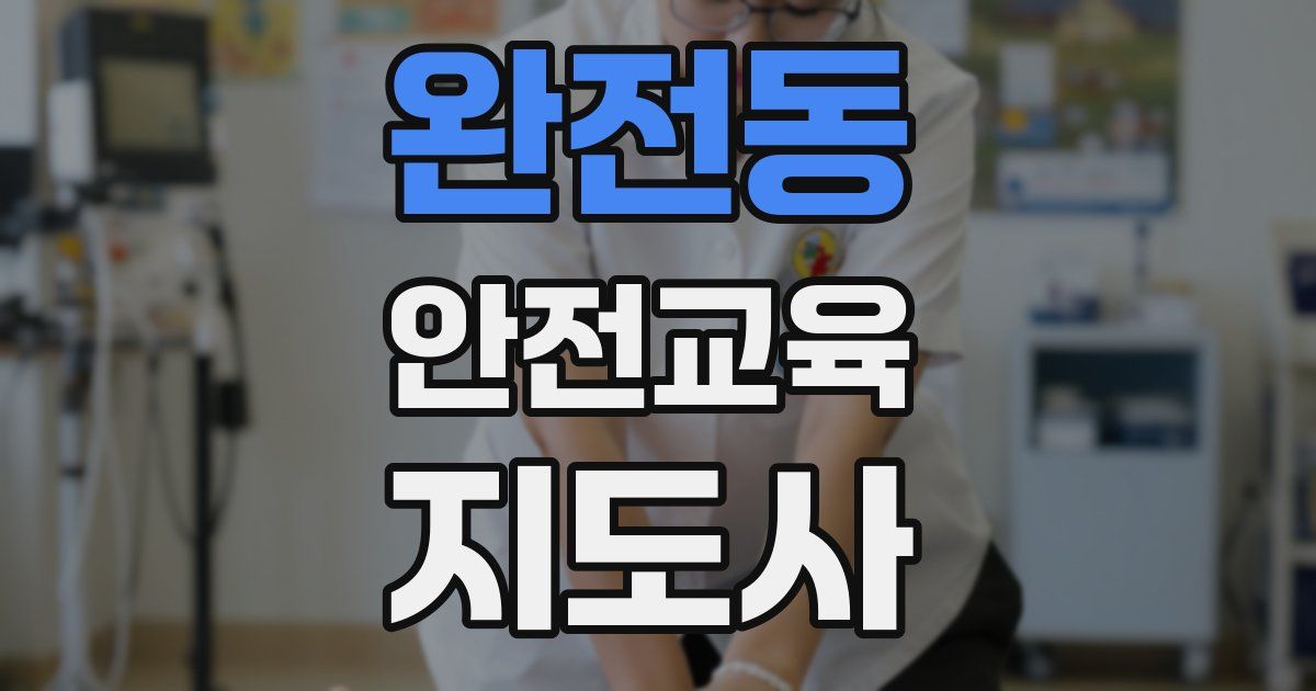 완전동 안전교육지도사 자격증