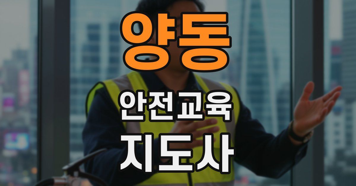 양동 안전교육지도사 자격증
