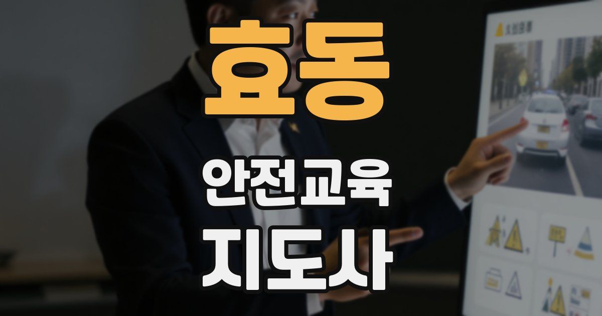 효동 안전교육지도사 자격증