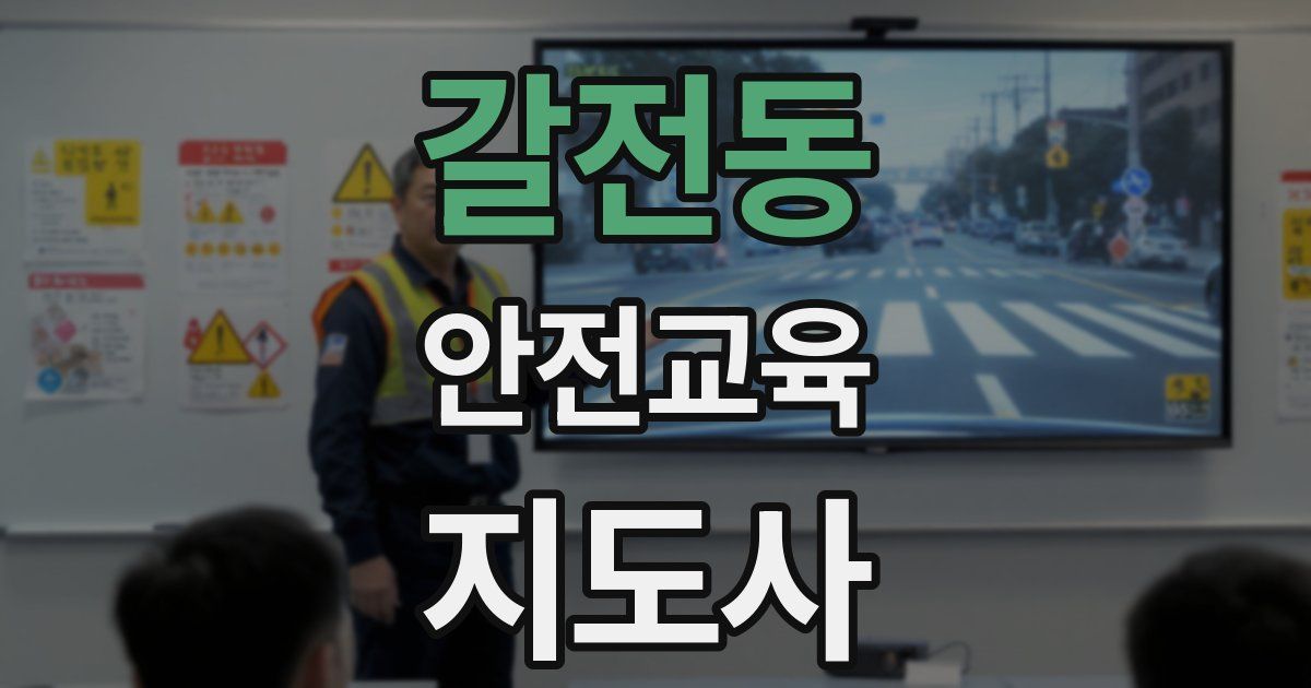 갈전동 안전교육지도사 자격증