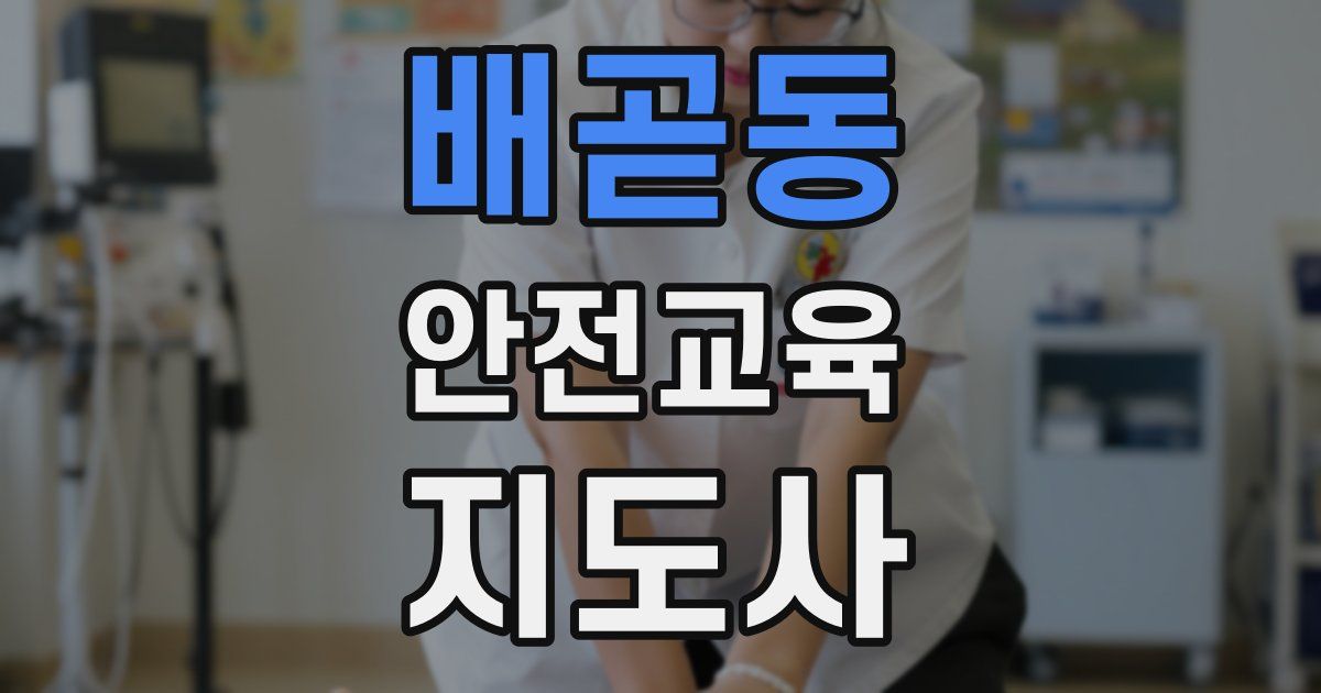 배곧동 안전교육지도사 자격증