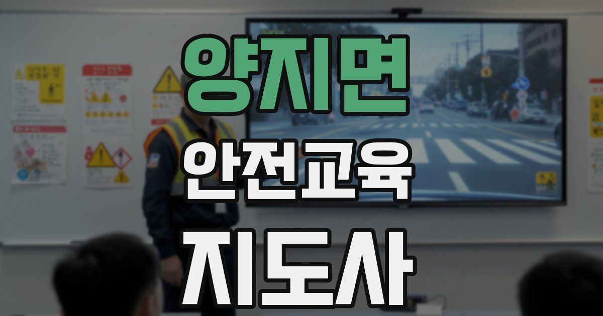 양지면 안전교육지도사 자격증