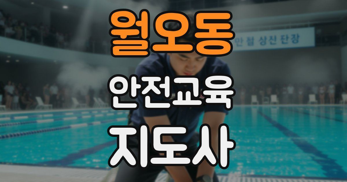 월오동 안전교육지도사 자격증