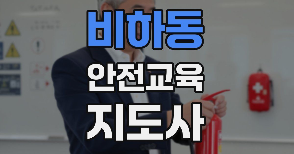 비하동 안전교육지도사 자격증