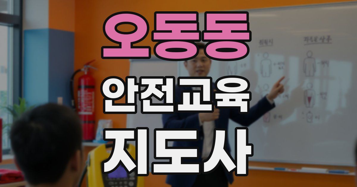 오동동 안전교육지도사 자격증