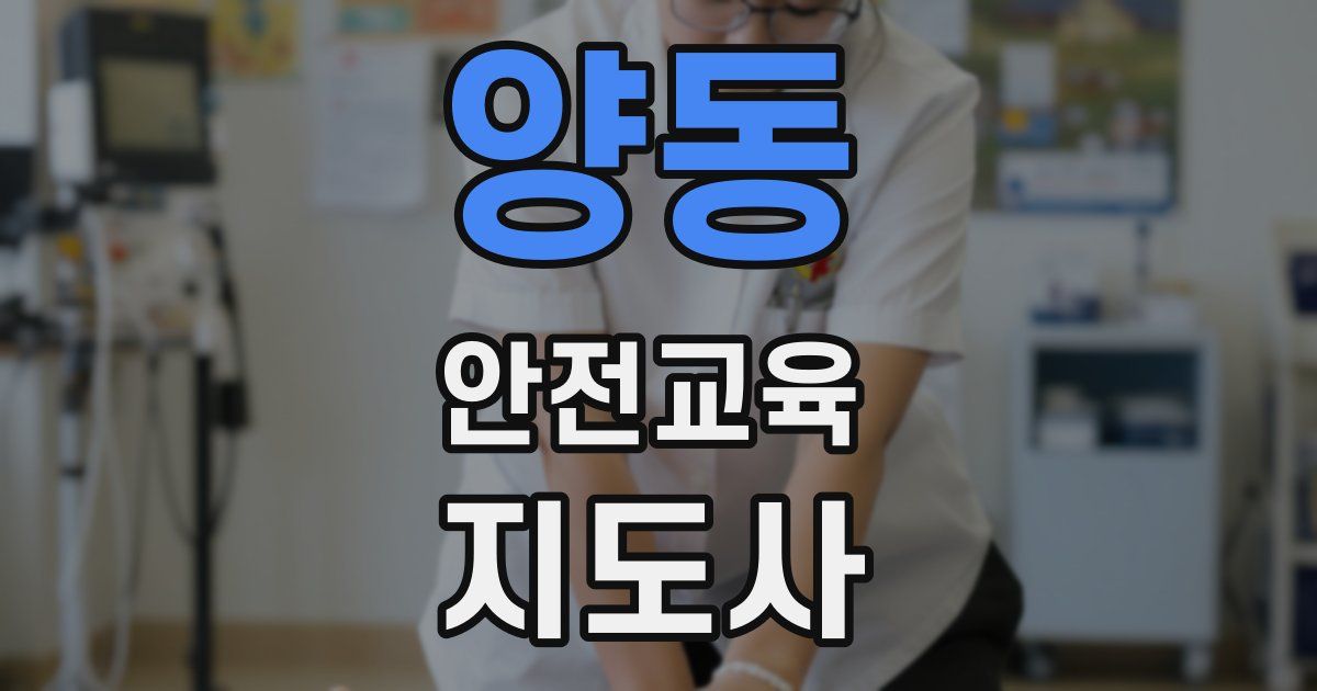 양동 안전교육지도사 자격증