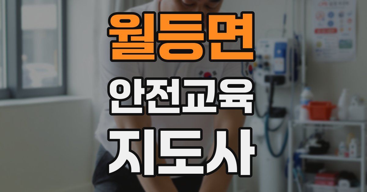 월등면 안전교육지도사 자격증