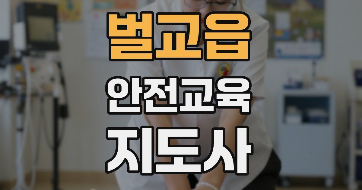 벌교읍 안전교육지도사 자격증