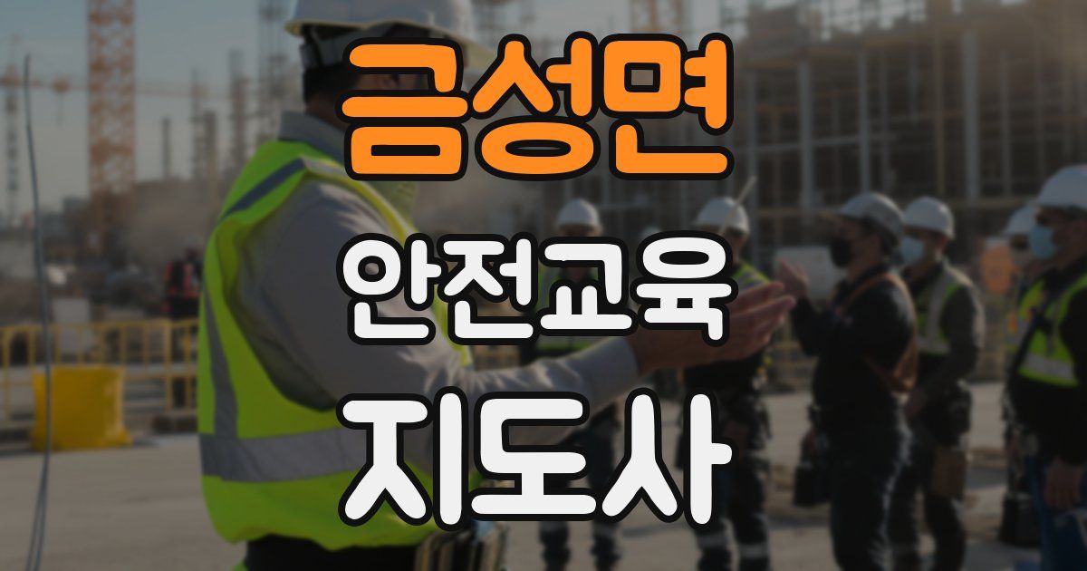 금성면 안전교육지도사 자격증