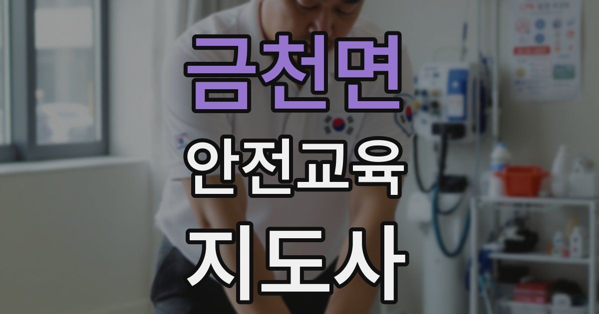 금천면 안전교육지도사 자격증