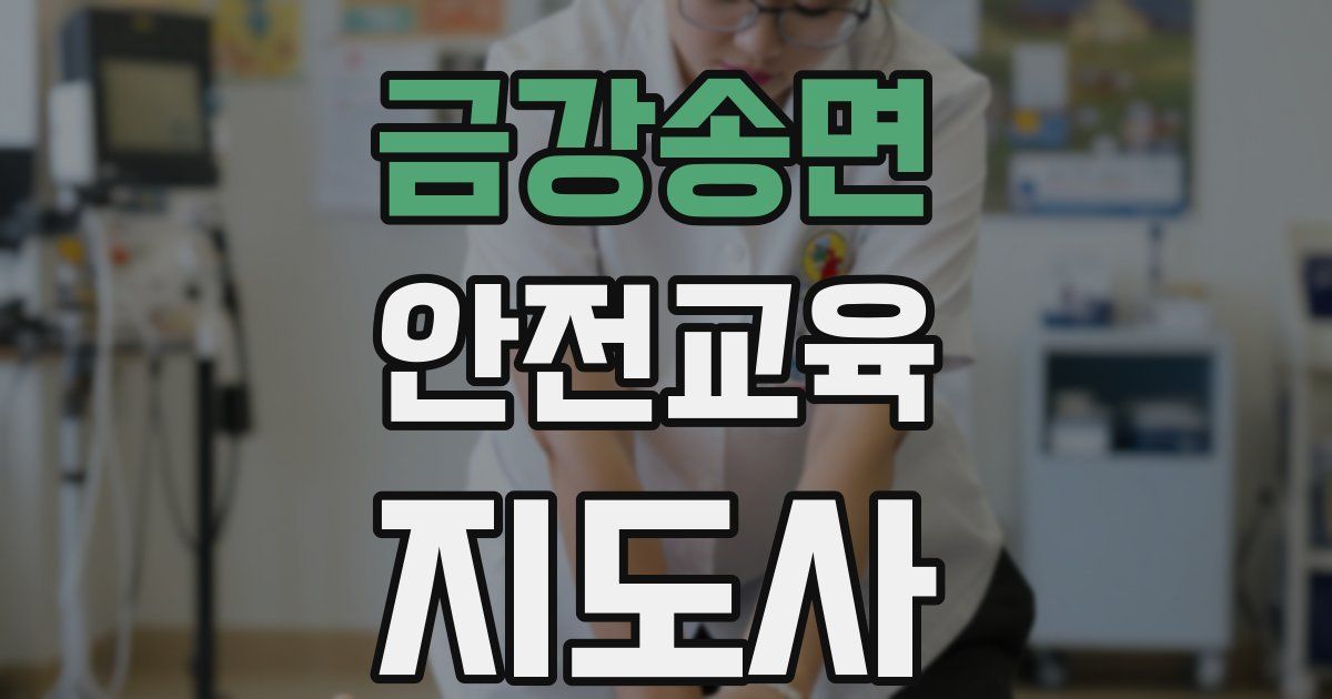 금강송면 안전교육지도사 자격증