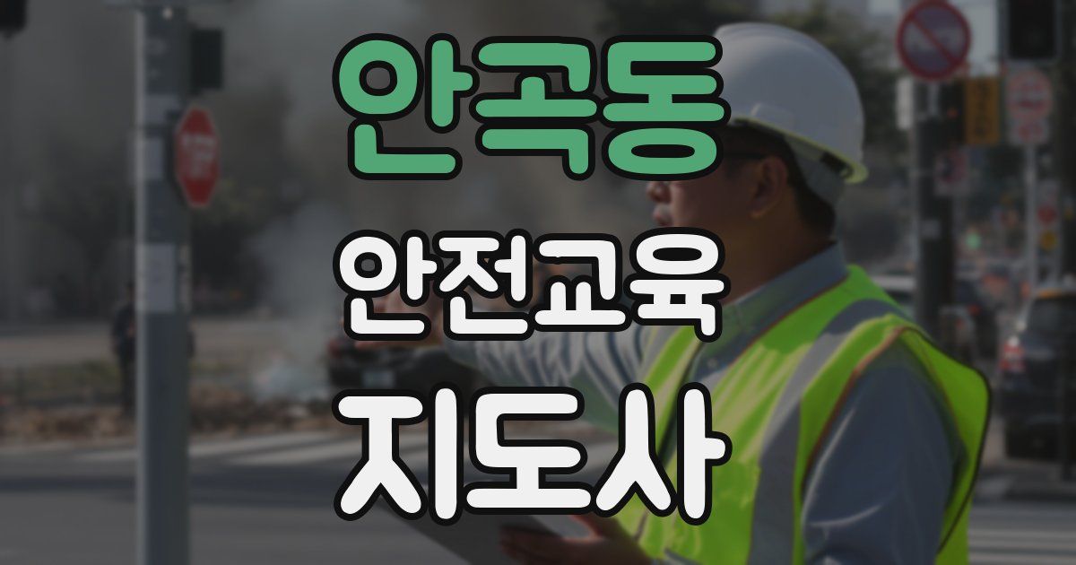 안곡동 안전교육지도사 자격증