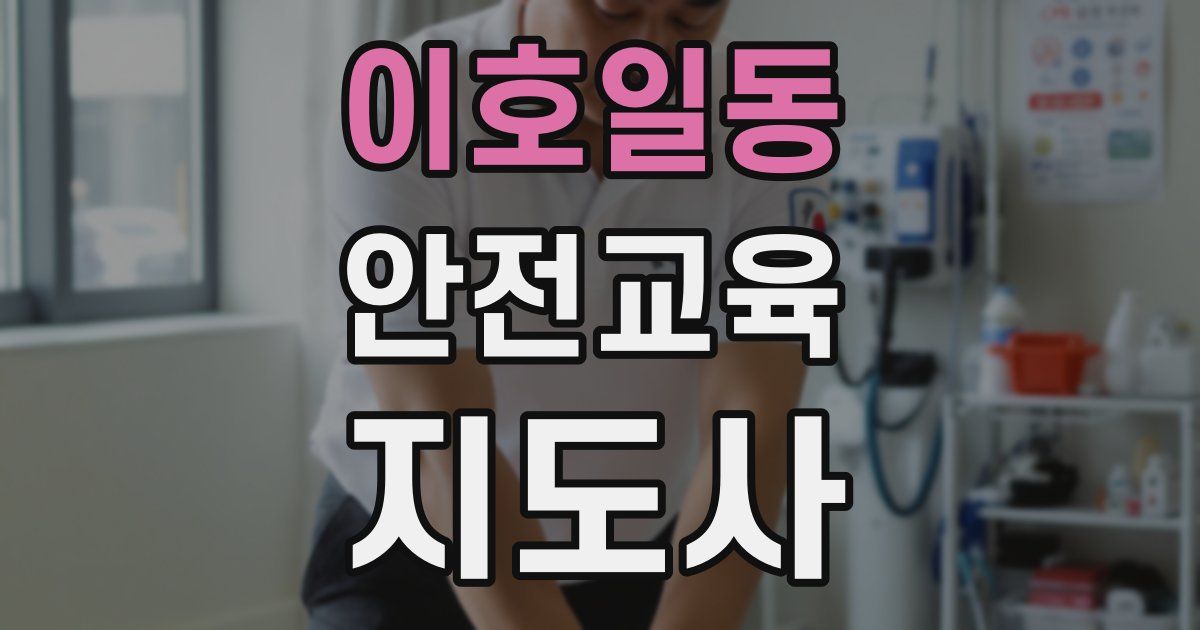 이호일동 안전교육지도사 자격증