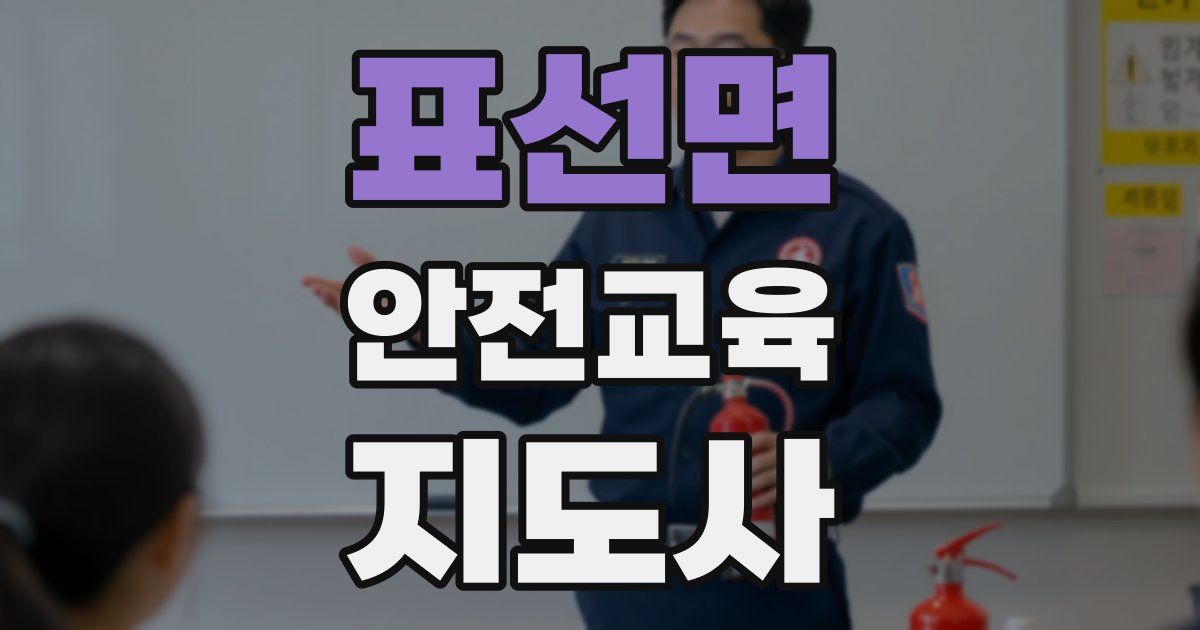 표선면 안전교육지도사 자격증