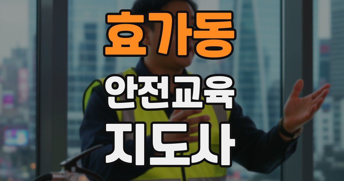 효가동 안전교육지도사 자격증