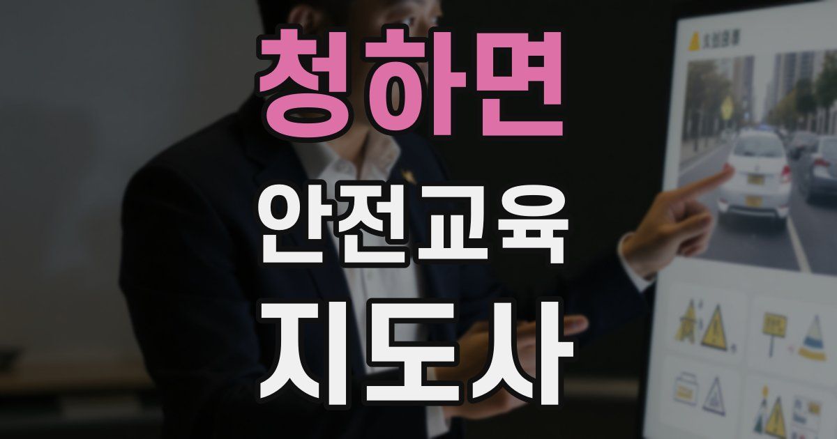 청하면 안전교육지도사 자격증