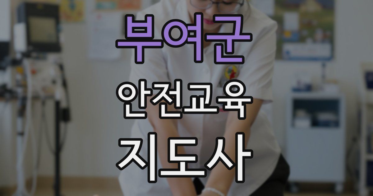부여군 안전교육지도사 자격증