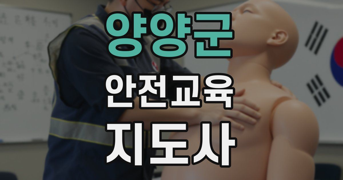 양양군 안전교육지도사 자격증
