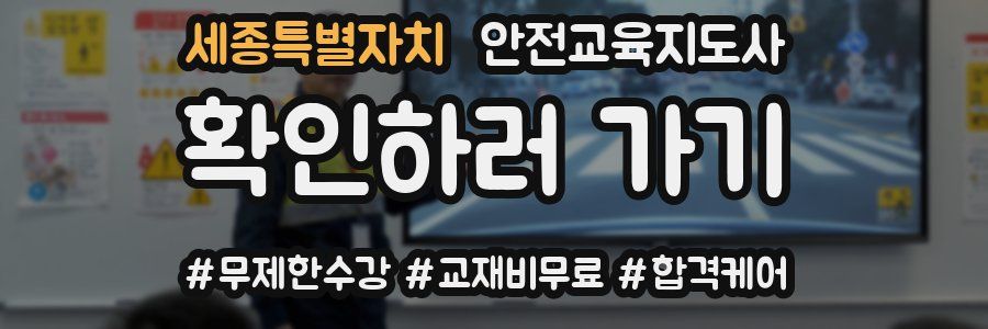 세종특별자치 안전교육지도사 자격증