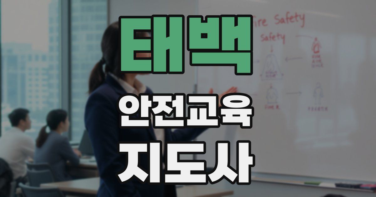 태백 안전교육지도사 자격증