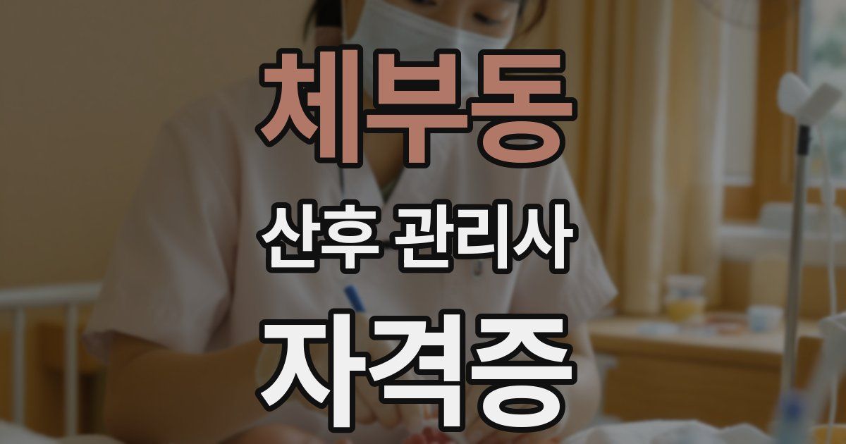 체부동 산후 관리사 자격증